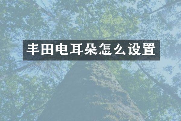 丰田电耳朵怎么设置