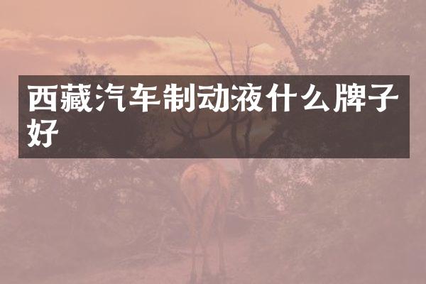 西藏汽车制动液什么牌子好