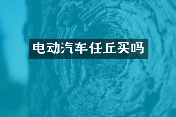 电动汽车任丘买吗