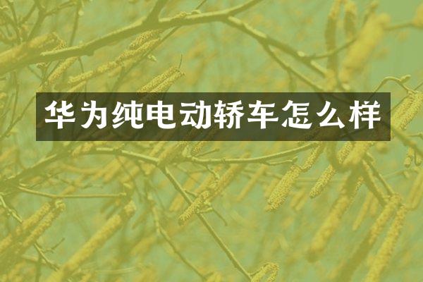 华为纯电动轿车怎么样