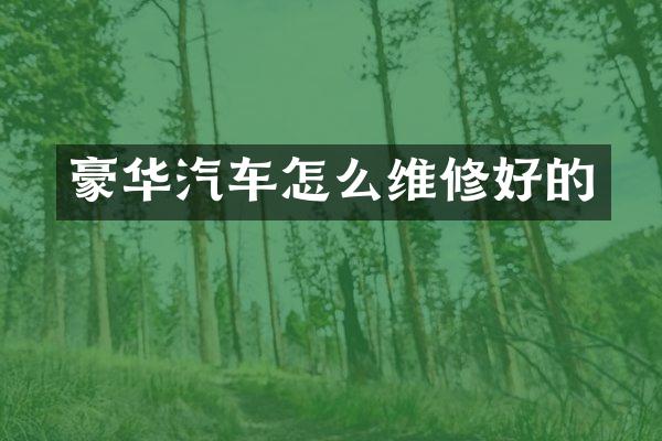 豪华汽车怎么维修好的