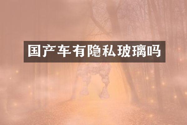 国产车有隐私玻璃吗
