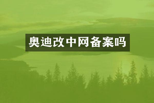 奥迪改中网备案吗