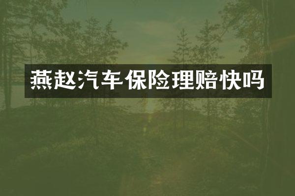 燕赵汽车保险理赔快吗