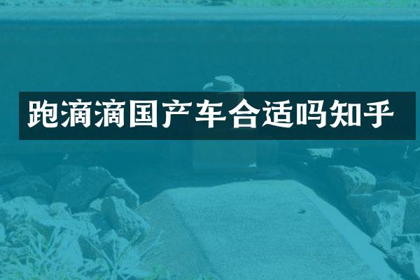跑滴滴国产车合适吗知乎