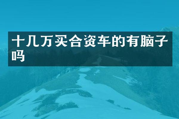 十几万买合资车的有脑子吗