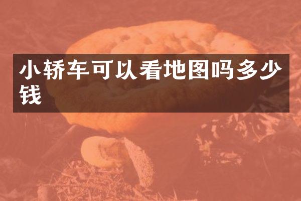 小轿车可以看地图吗多少钱