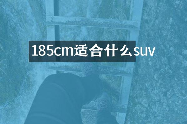 185cm适合什么suv