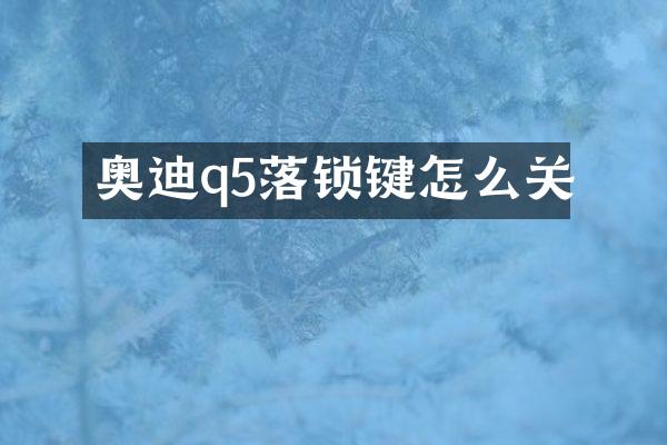 奥迪q5落锁键怎么关
