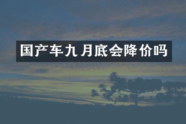 国产车九月底会降价吗
