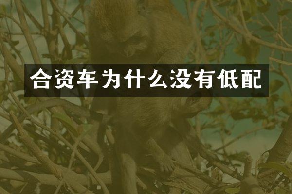 合资车为什么没有低配
