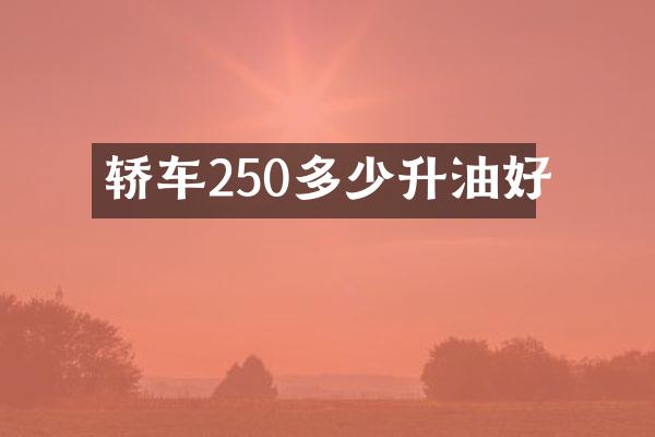 轿车250多少升油好
