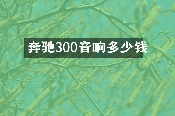 奔驰300音响多少钱