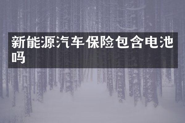 新能源汽车保险包含电池吗