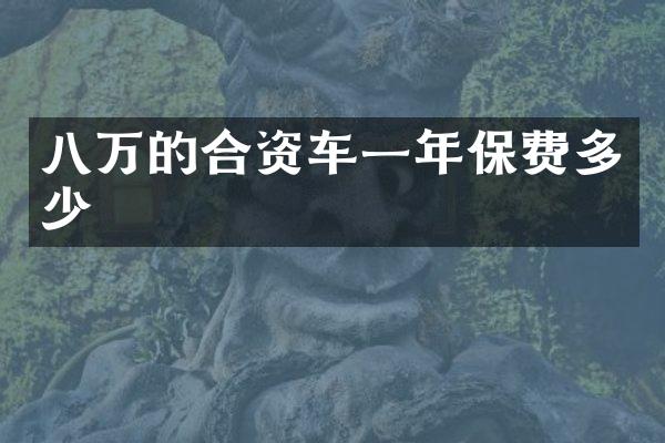 八万的合资车一年保费多少