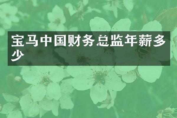 宝马中国财务总监年薪多少