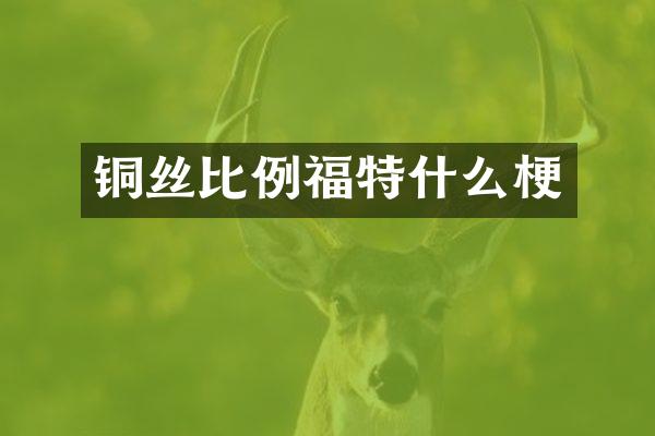 铜丝比例福特什么梗