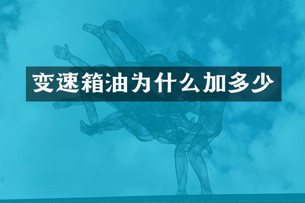 变速箱油为什么加多少
