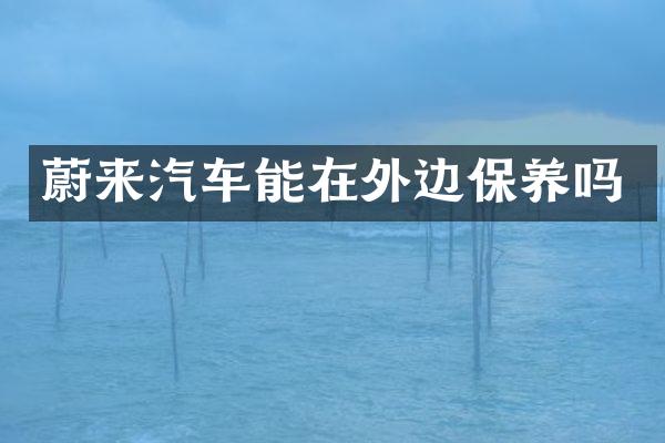 蔚来汽车能在外边保养吗