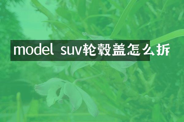model suv轮毂盖怎么拆