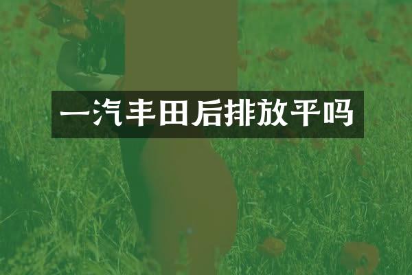 一汽丰田后排放平吗