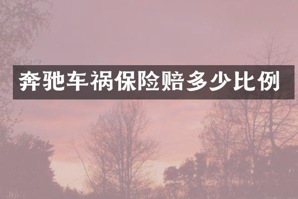 奔驰车祸保险赔多少比例