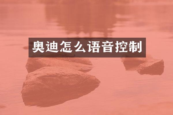 奥迪怎么语音控制
