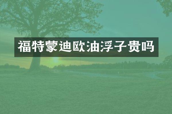 福特蒙迪欧油浮子贵吗