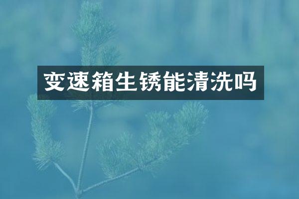 变速箱生锈能清洗吗