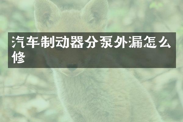 汽车制动器分泵外漏怎么修