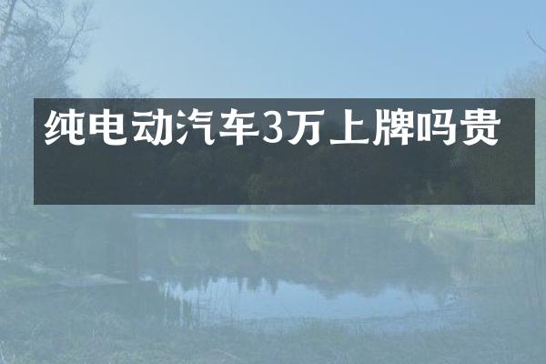 纯电动汽车3万上牌吗贵吗
