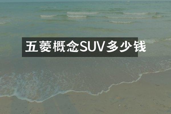 五菱概念SUV多少钱