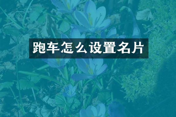 跑车怎么设置名片