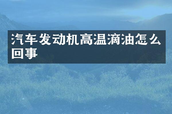 汽车发动机高温滴油怎么回事