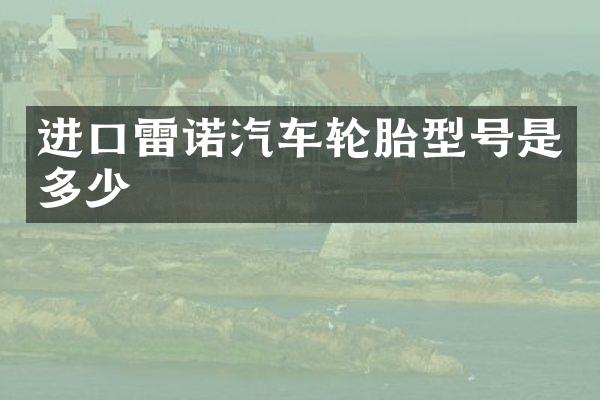 进口雷诺汽车轮胎型号是多少