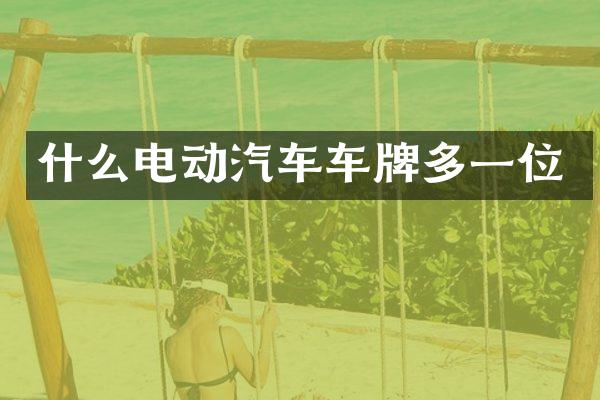 什么电动汽车车牌多一位