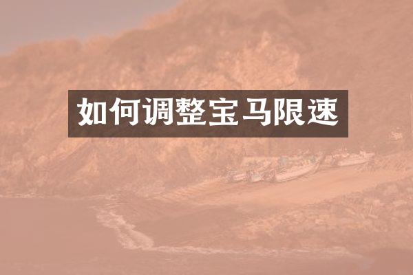 如何调整宝马限速