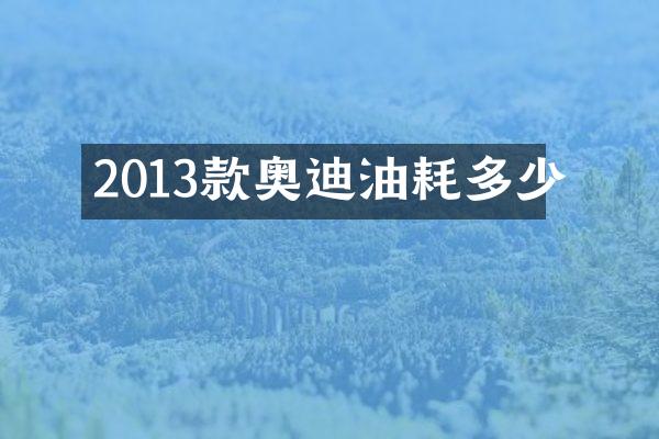 2013款奥迪油耗多少