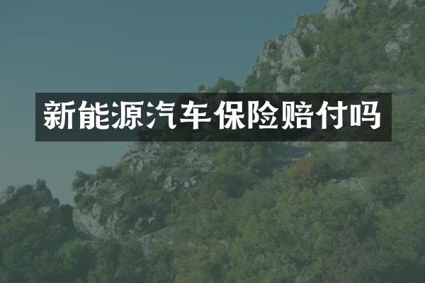 新能源汽车保险赔付吗
