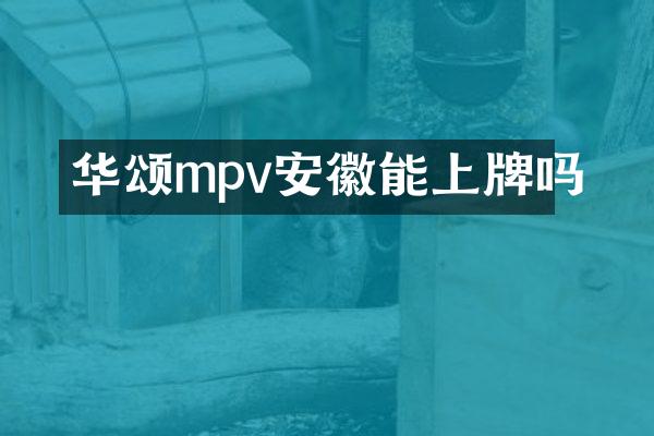 华颂mpv安徽能上牌吗