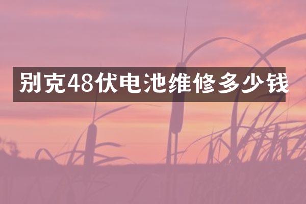别克48伏电池维修多少钱