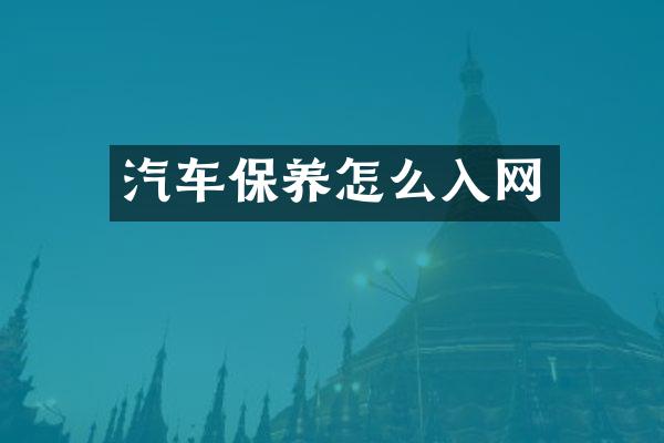 汽车保养怎么入网