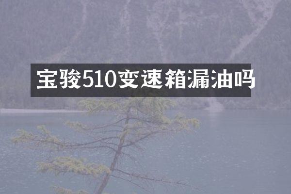 宝骏510变速箱漏油吗