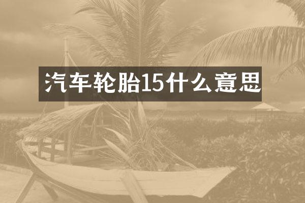 汽车轮胎15什么意思