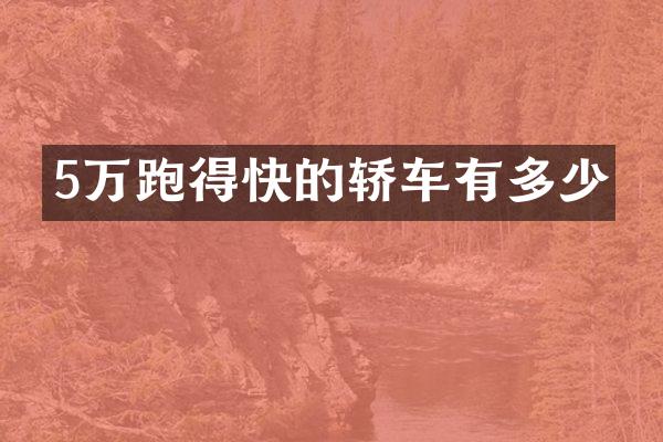 5万跑得快的轿车有多少