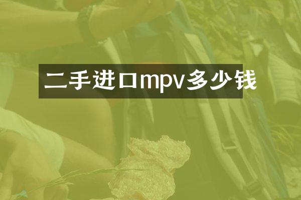 二手进口mpv多少钱