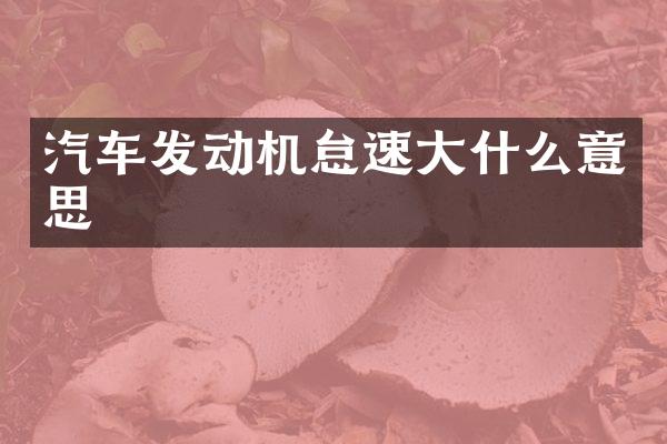 汽车发动机怠速大什么意思