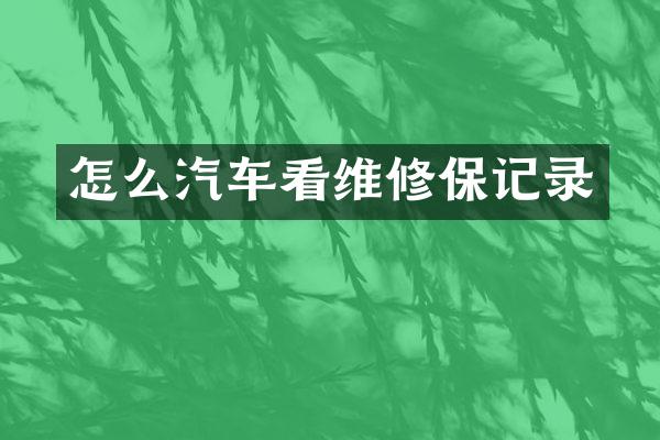 怎么汽车看维修保记录