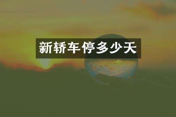新轿车停多少天