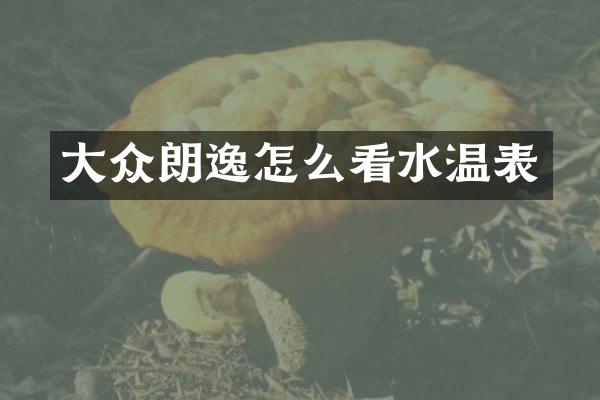 大众朗逸怎么看水温表